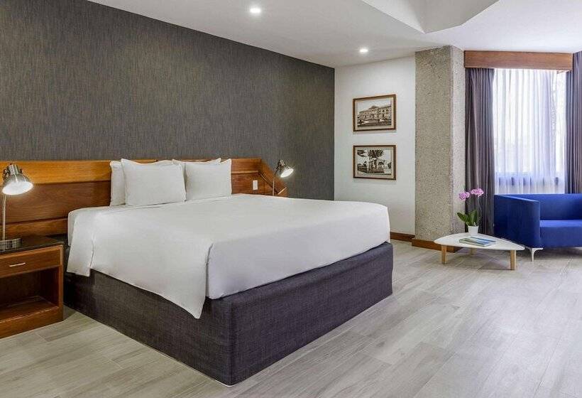 스탠다드 스튜디오 더블 침대, Radisson San Josecosta Rica