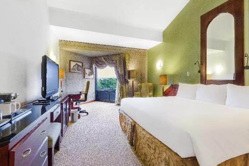 سوئیت با تخت بزرگ, Radisson San Josecosta Rica