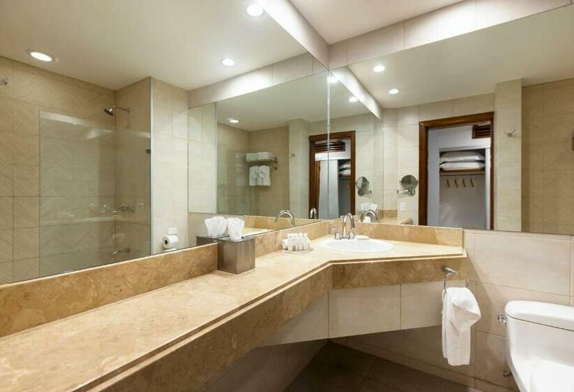 프리미엄 룸, Radisson San Josecosta Rica