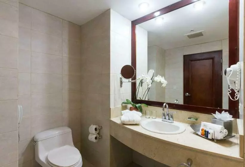 اتاق استاندارد با تخت بزرگ, Radisson San Josecosta Rica