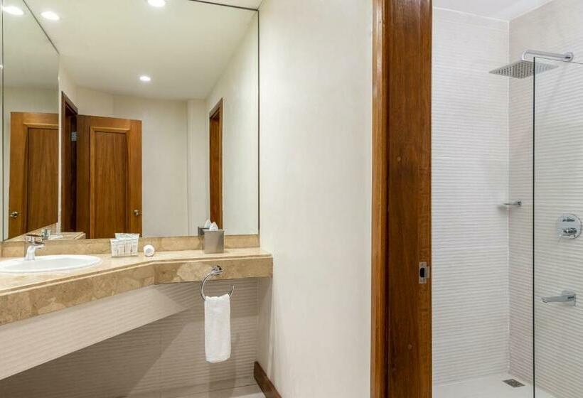 스탠다드 스튜디오 킹침대, Radisson San Josecosta Rica