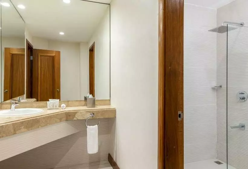 استودیو استاندارد با تخت کینگ, Radisson San Josecosta Rica