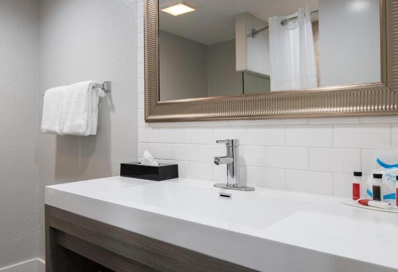 带大床的标准间, Prodigy Hotel, A Days Inn By Wyndham