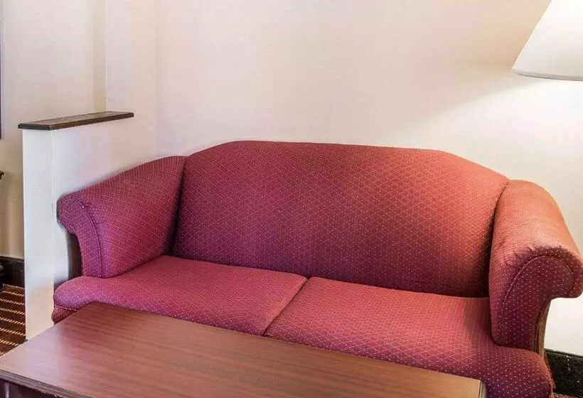キングサイズベッドのスタンダードルーム, Econo Lodge