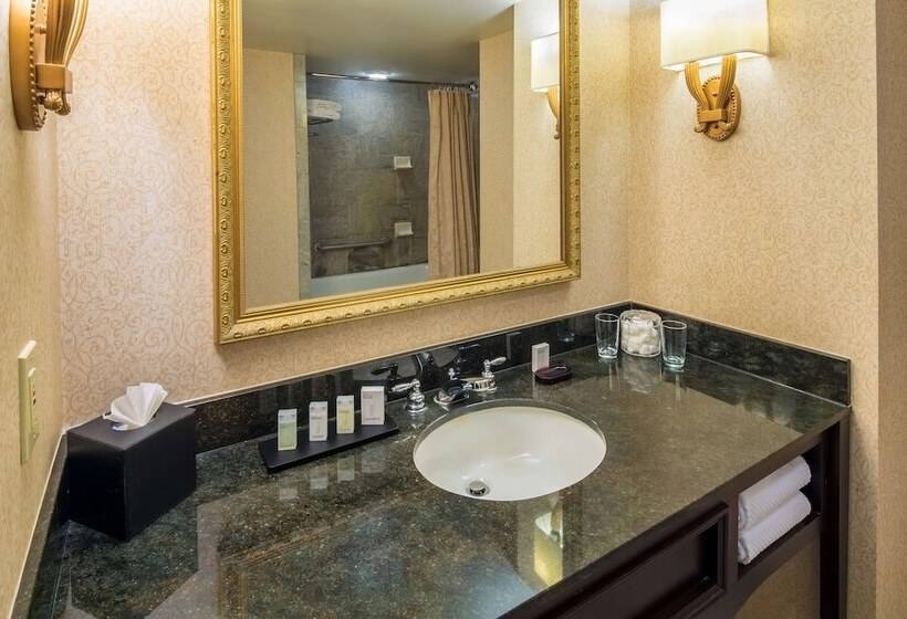 Люкс, Embassy Suites By Hilton Portland Downtown