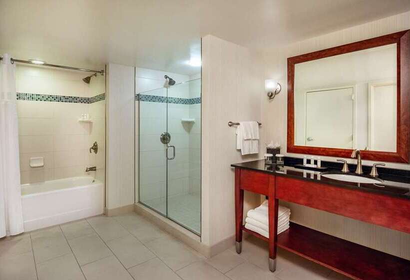 سوئیت با تخت بزرگ, Embassy Suites By Hilton Portland Downtown