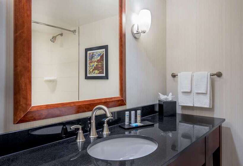 سوئیت با تخت بزرگ, Embassy Suites By Hilton Portland Downtown