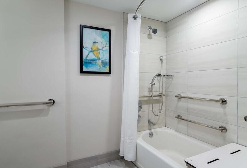 غرفة قياسية لذوى الاحتياجات الخاصة, Embassy Suites By Hilton Tampa Usf Near Busch Gardens