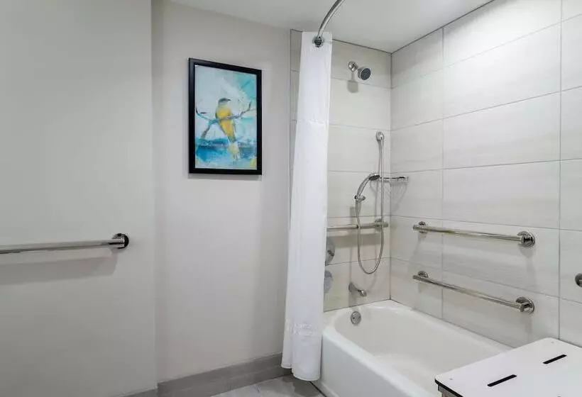 اتاق استاندارد برای معلولان, Embassy Suites By Hilton Tampa Usf Near Busch Gardens