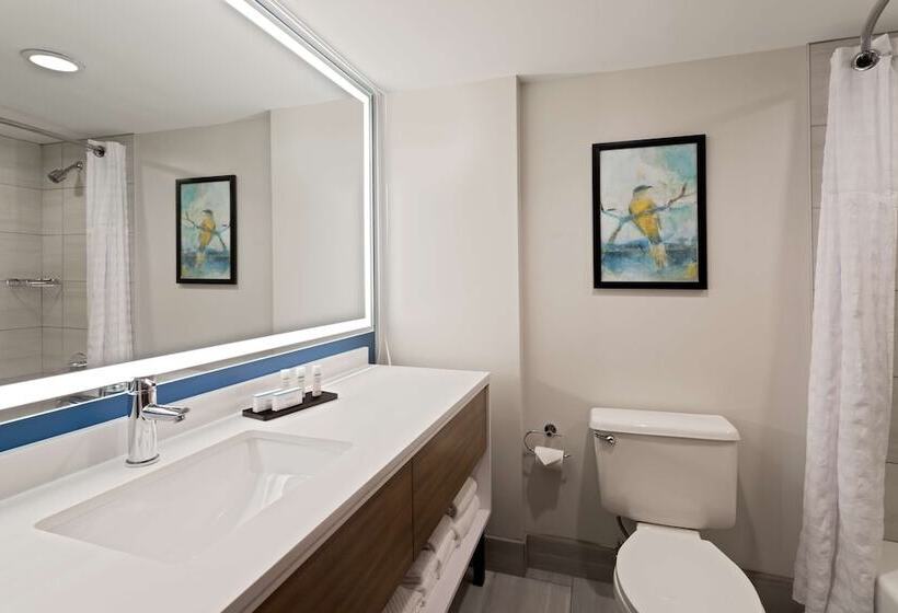 غرفة قياسية لذوى الاحتياجات الخاصة, Embassy Suites By Hilton Tampa Usf Near Busch Gardens