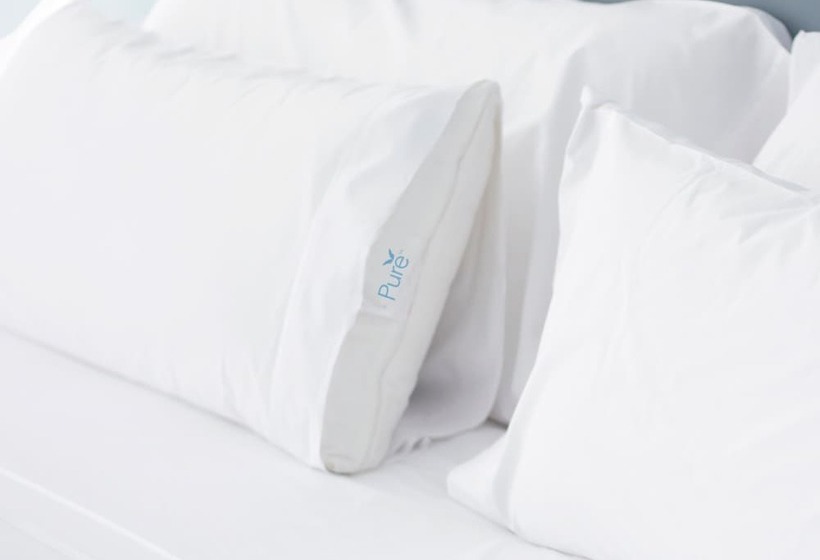 غرفة قياسية لذوى الاحتياجات الخاصة, Embassy Suites By Hilton Tampa Usf Near Busch Gardens