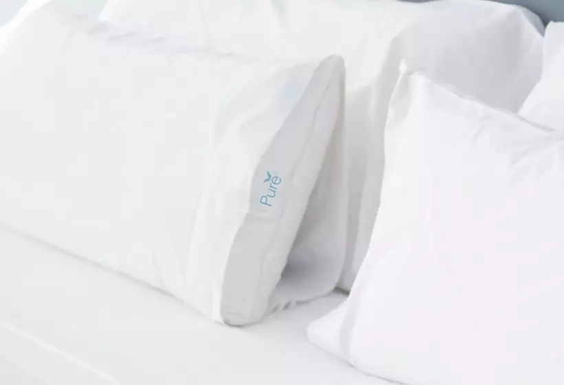 اتاق استاندارد برای معلولان, Embassy Suites By Hilton Tampa Usf Near Busch Gardens