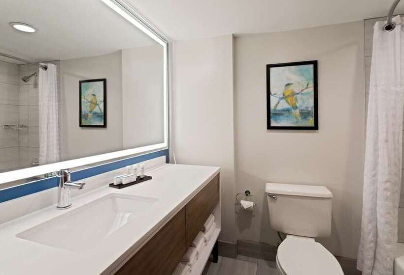 스탠다드 룸, Embassy Suites By Hilton Tampa Usf Near Busch Gardens