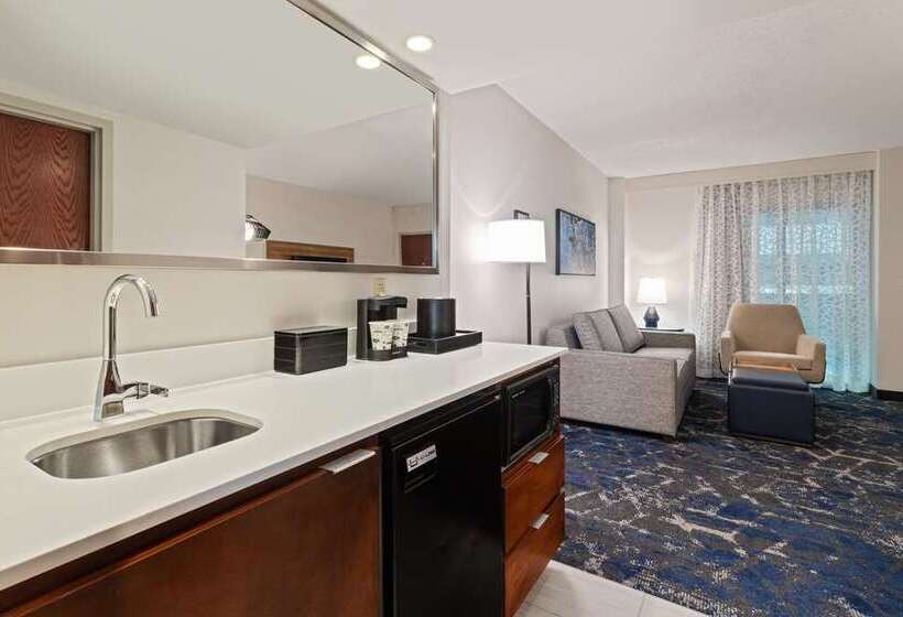 جناح, Embassy Suites By Hilton Tampa Usf Near Busch Gardens