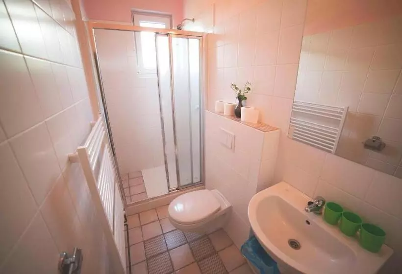 Quarto Estandar, Racek
