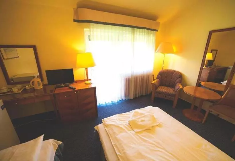 Quarto Comfort, Racek