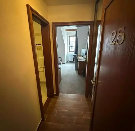 Habitación Estàndard Individual, Radnice