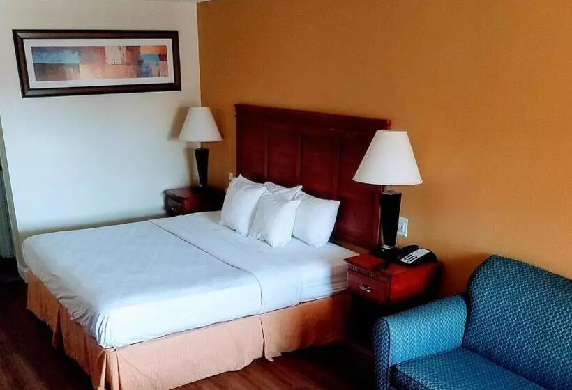 キングサイズベッドのスタンダードルーム, Sylvania Inn Sylvania,statesboro, Ga Georgia Southern Univ Gsu