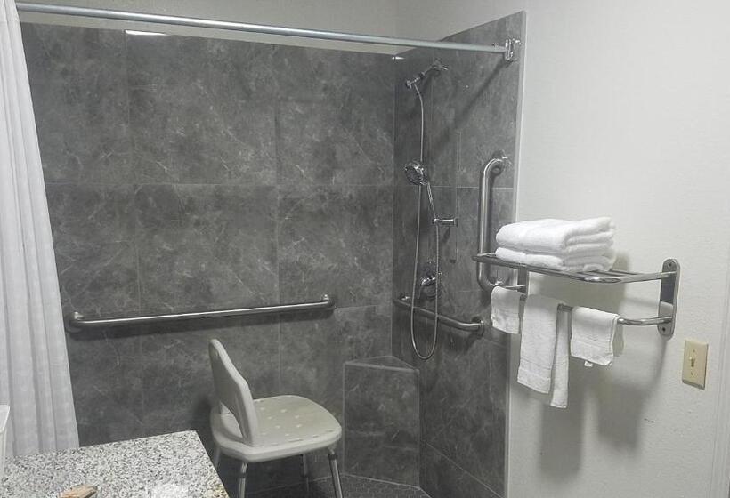 غرفة قياسية لذوى الاحتياجات الخاصة, Sylvania Inn Sylvania,statesboro, Ga Georgia Southern Univ Gsu