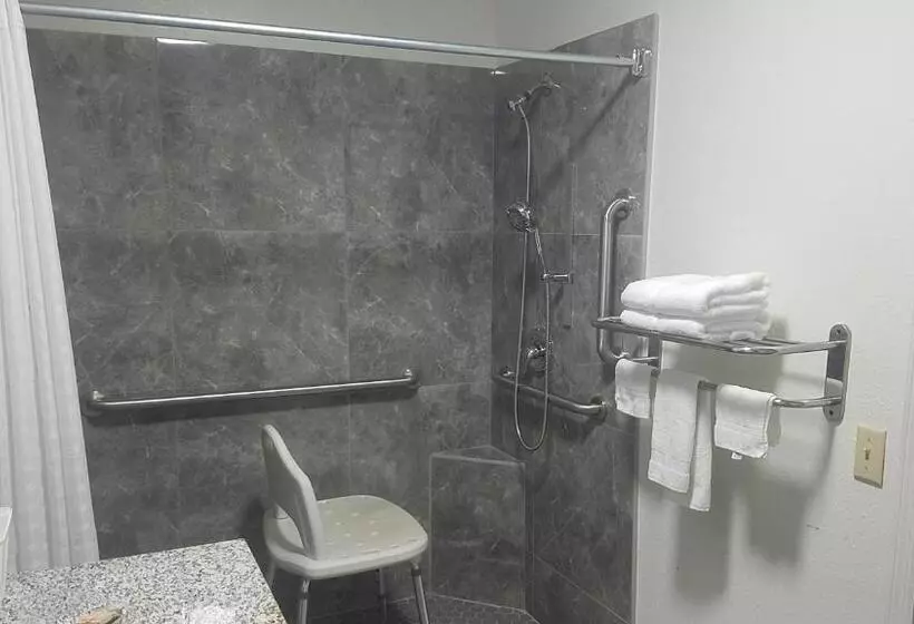 身障者適用スタンダードルーム, Sylvania Inn Sylvania,statesboro, Ga Georgia Southern Univ Gsu