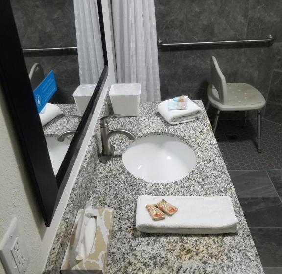 غرفة قياسية لذوى الاحتياجات الخاصة, Sylvania Inn Sylvania,statesboro, Ga Georgia Southern Univ Gsu