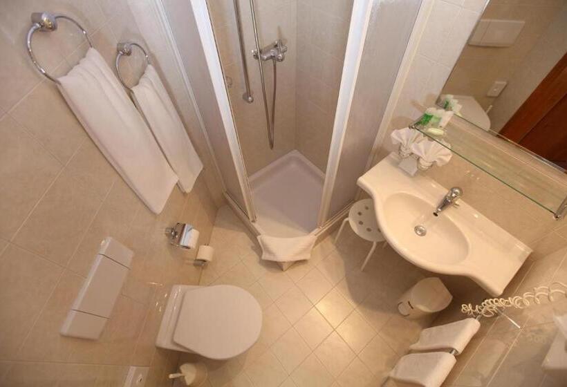 غرفة قياسية, Typically Swiss Hotel Altana