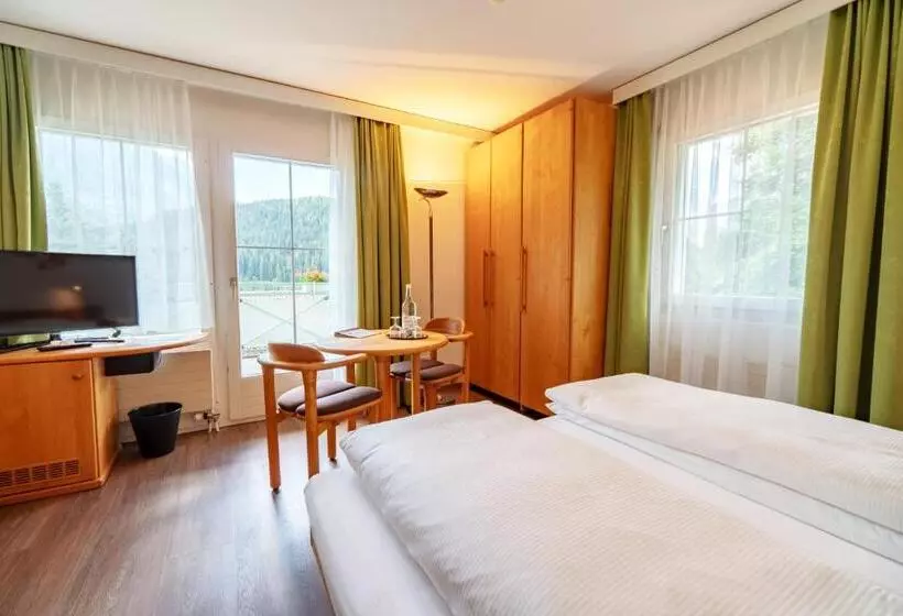 اتاق استاندارد با بالکن, Typically Swiss Hotel Altana