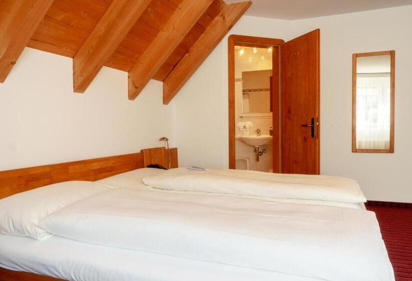 غرفة ديلوكس, Typically Swiss Hotel Altana