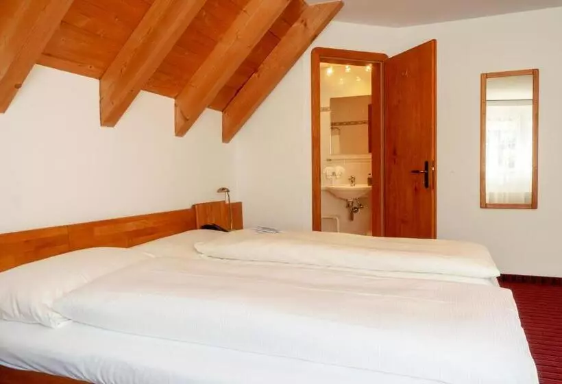 اتاق لوکس, Typically Swiss Hotel Altana