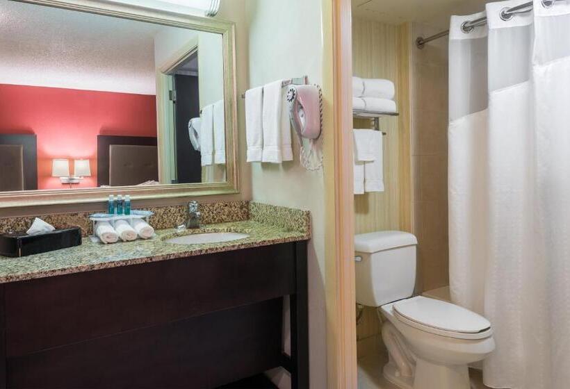 장애인을 위한 스위트, Holiday Inn Express Hotel & Suites Kendall East Miami, An Ihg