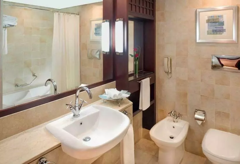 اتاق استاندارد با تخت بزرگ, Beach Rotana   Abu Dhabi