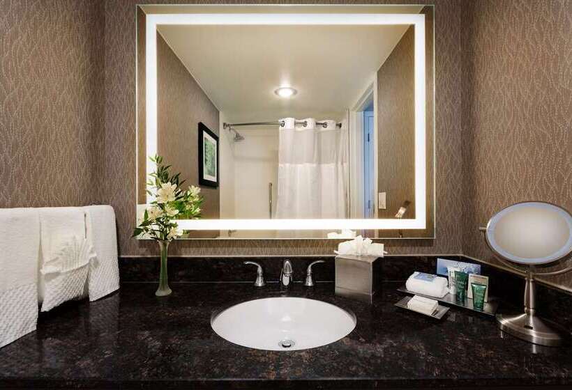 اتاق لوکس با تخت بزرگ, Conrad Centennial Singapore
