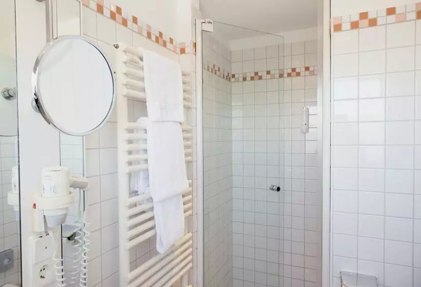 اتاق استاندارد یک نفره, Dom Hotel Limburg