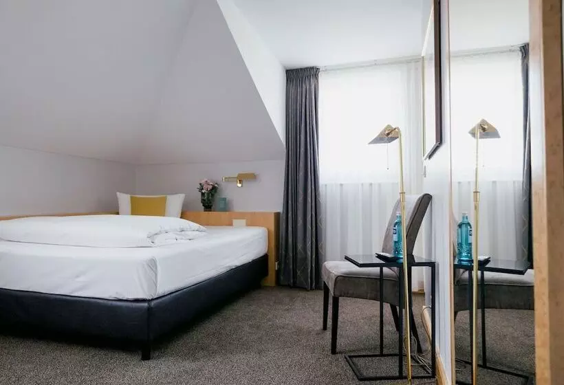 اتاق استاندارد یک نفره, Dom Hotel Limburg
