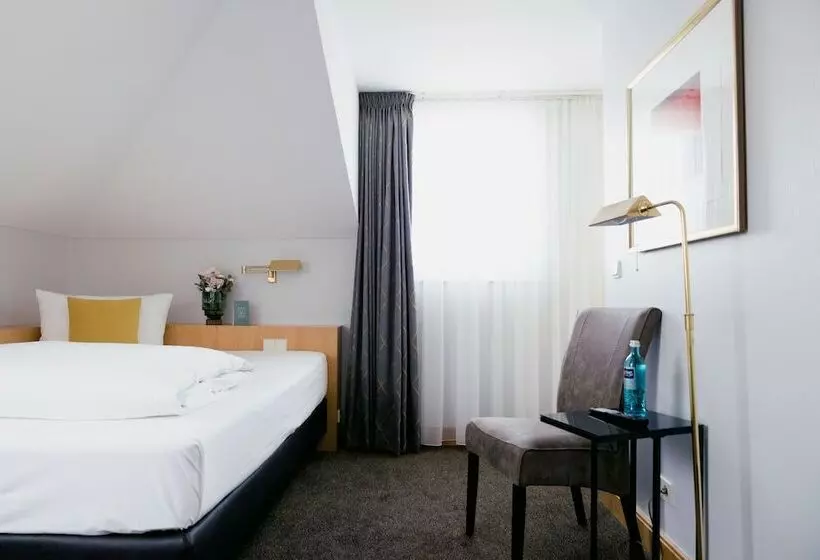 اتاق استاندارد یک نفره, Dom Hotel Limburg