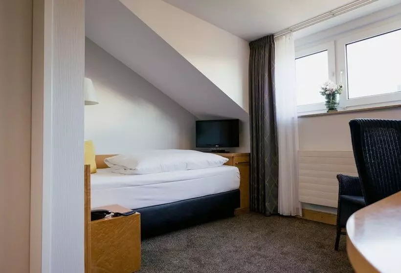 اتاق استاندارد یک نفره, Dom Hotel Limburg