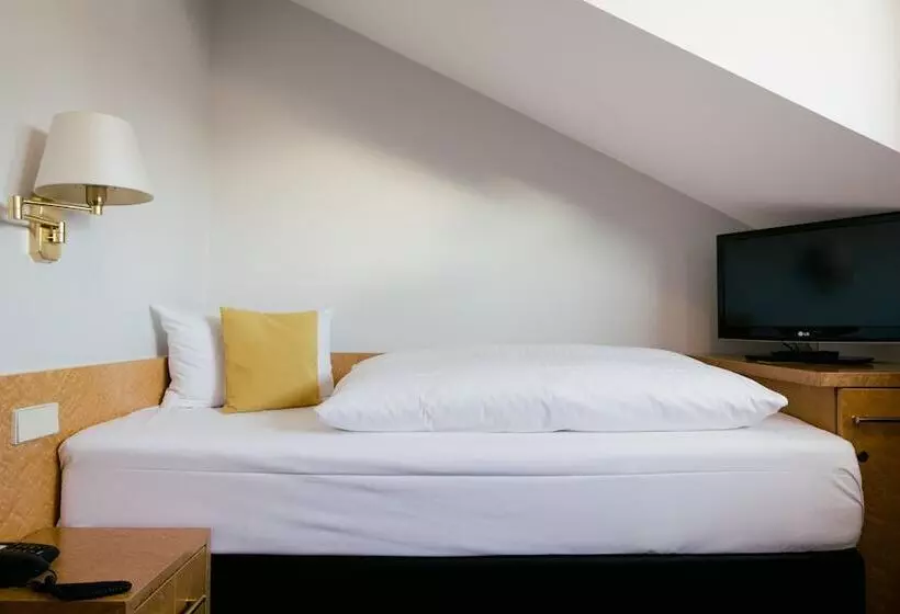 اتاق استاندارد یک نفره, Dom Hotel Limburg