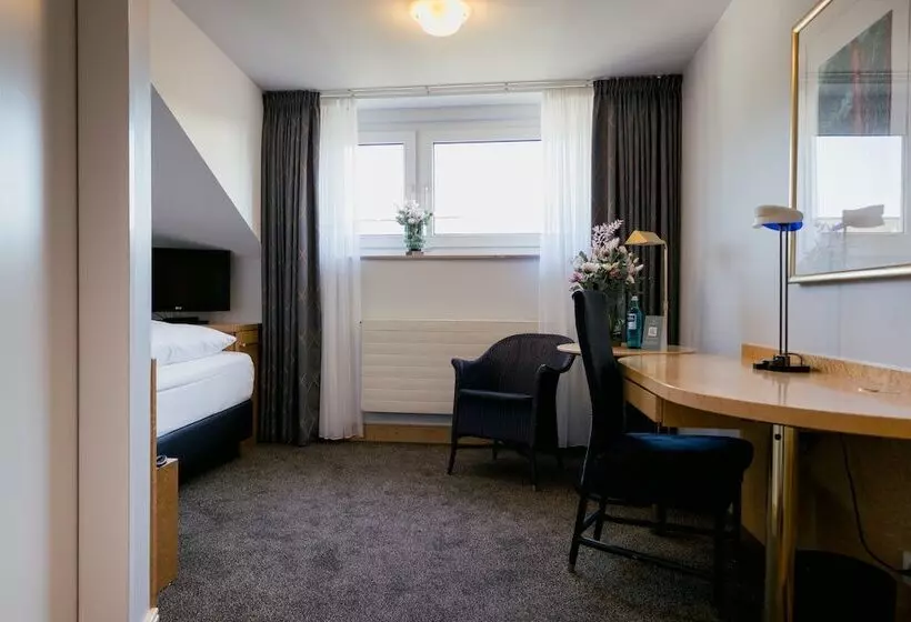 اتاق استاندارد یک نفره, Dom Hotel Limburg