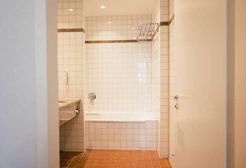 غرفة قياسية, Dom Hotel Limburg