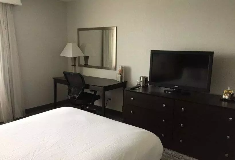اتاق استاندارد برای معلولان, Doubletree By Hilton Hartford  Bradley Airport