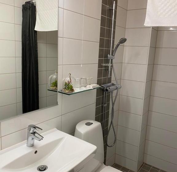 高级大房间, L Gota