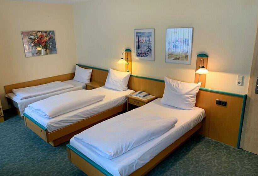 스탠다드 트리플 룸, Parkhotel Fulda