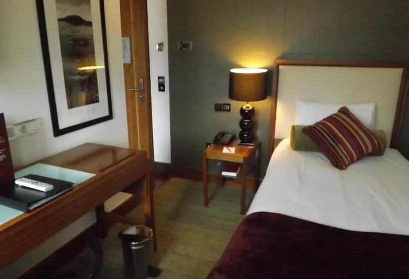 シングルベーシックルーム, Rochestown Park Hotel & Leisure Centre