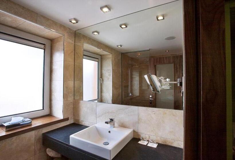 シングルベーシックルーム, Rochestown Park Hotel & Leisure Centre