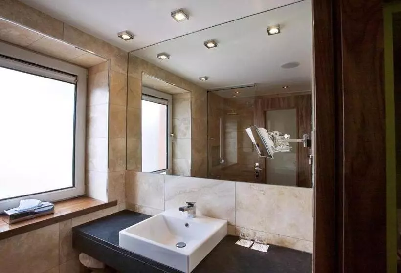 シングルベーシックルーム, Rochestown Park Hotel & Leisure Centre