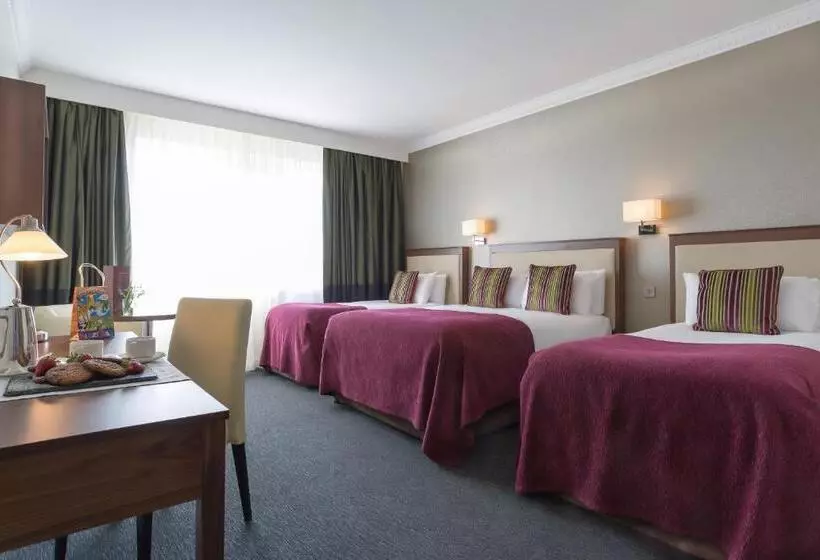 ファミリールーム, Rochestown Park Hotel & Leisure Centre