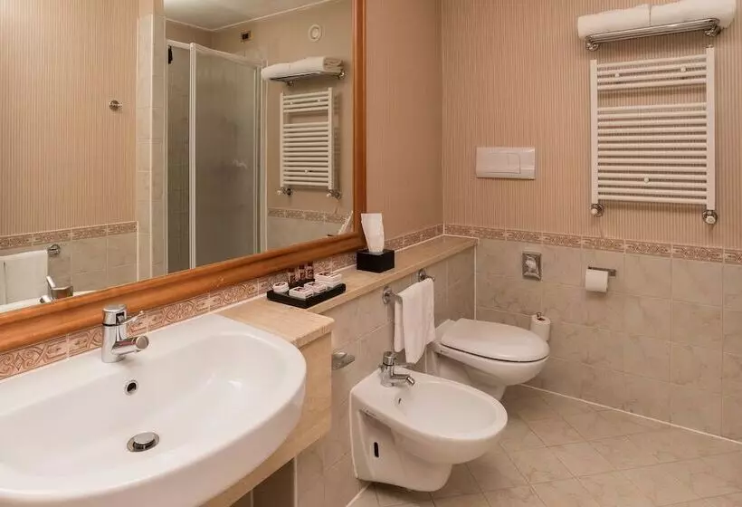 اتاق کلاسیک, Shg Hotel De La Ville