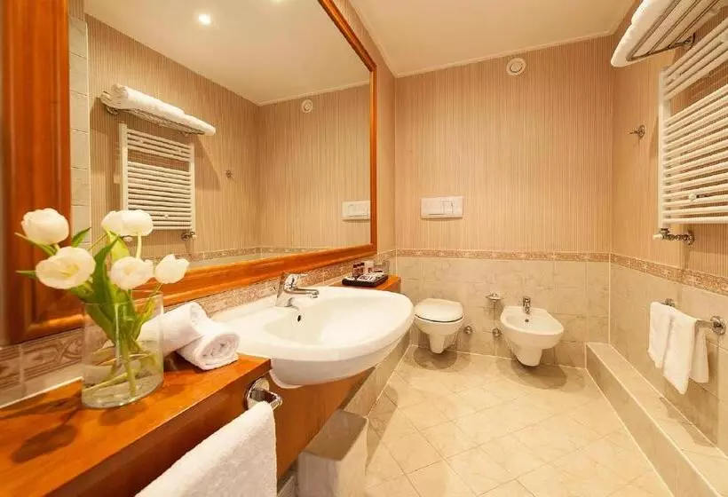 اتاق استاندارد یک نفره, Shg Hotel De La Ville