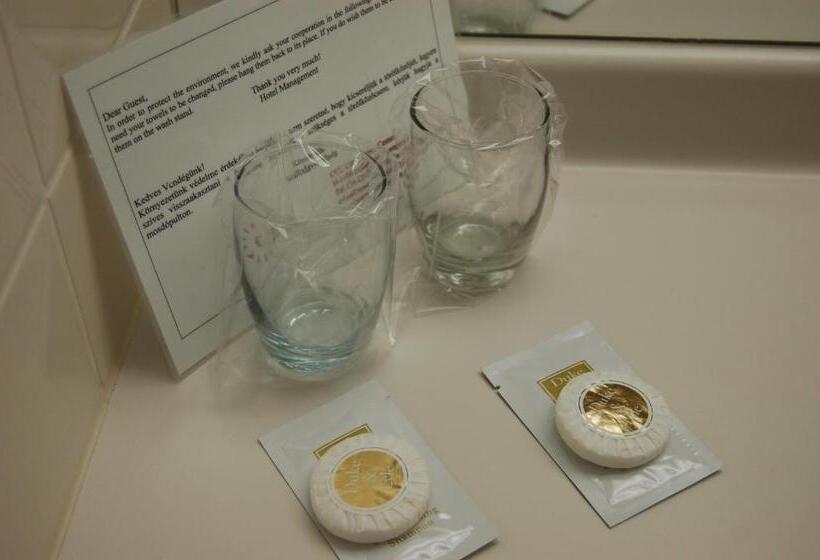 Номер Стандарт, Ceu Konferencia Központ