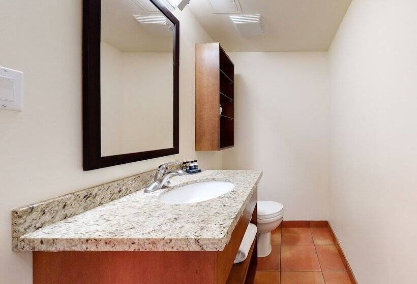 استودیوی سوپریور, Whistler Village Centre By Latour Hotels And Resorts